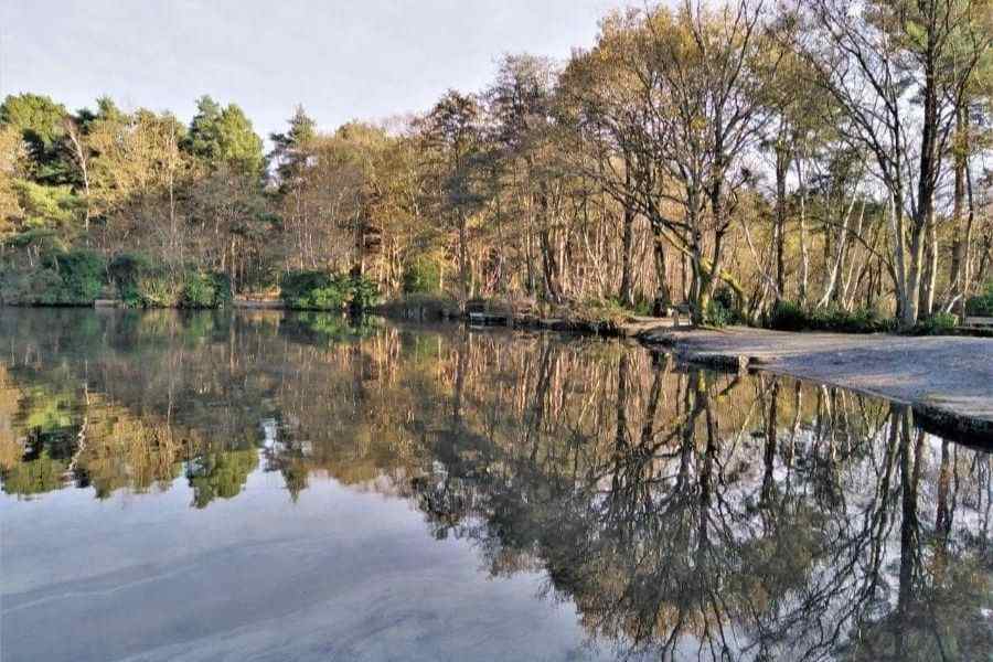 Exploring the Natural Charm of Lightwater Country Park